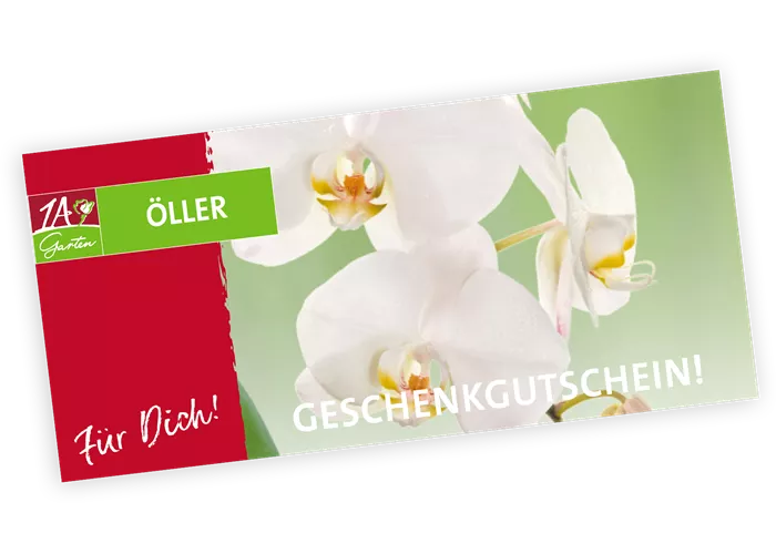 Gutschein Orchidee