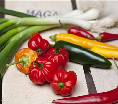 Chili & Paprika: Gemüse des Jahres 2015/16