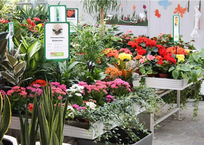 1A Garten Öller Ihr Gartencenter aus dem niederbayrischen Ortenburg