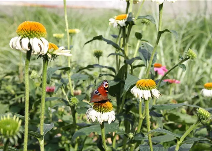 1A Garten Öller Ihr Gartencenter aus dem niederbayrischen Ortenburg