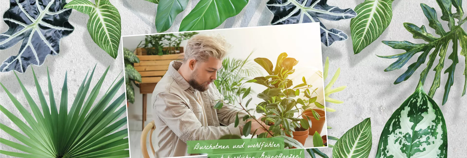 1A Garten Öller Ihr Gartencenter aus dem niederbayrischen Ortenburg