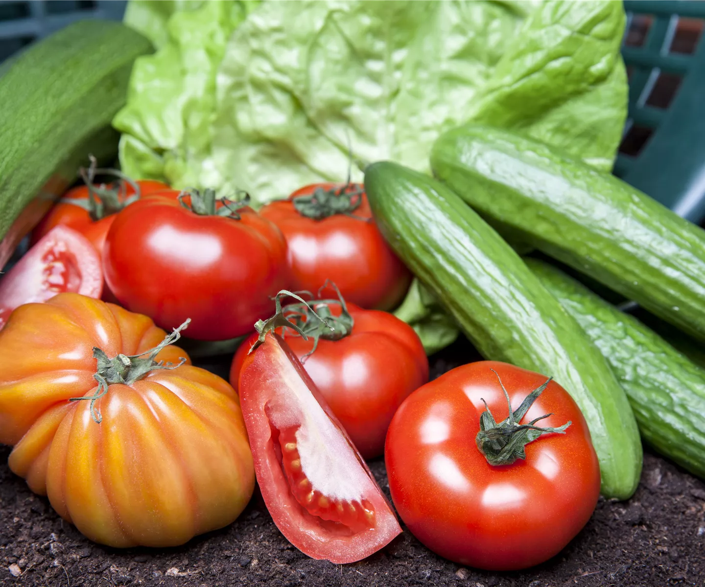Von Artischocke bis Zucchini: alles für den Bauerngarten