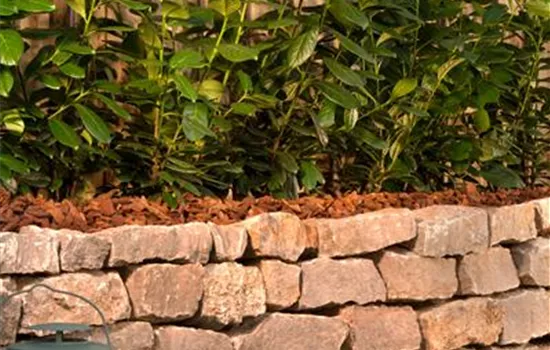 Die Rettung für alte Steinmauern Die Rettung für alte Steinmauern