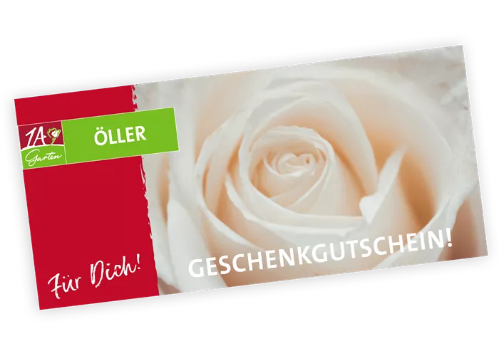 Gutschein Rosen