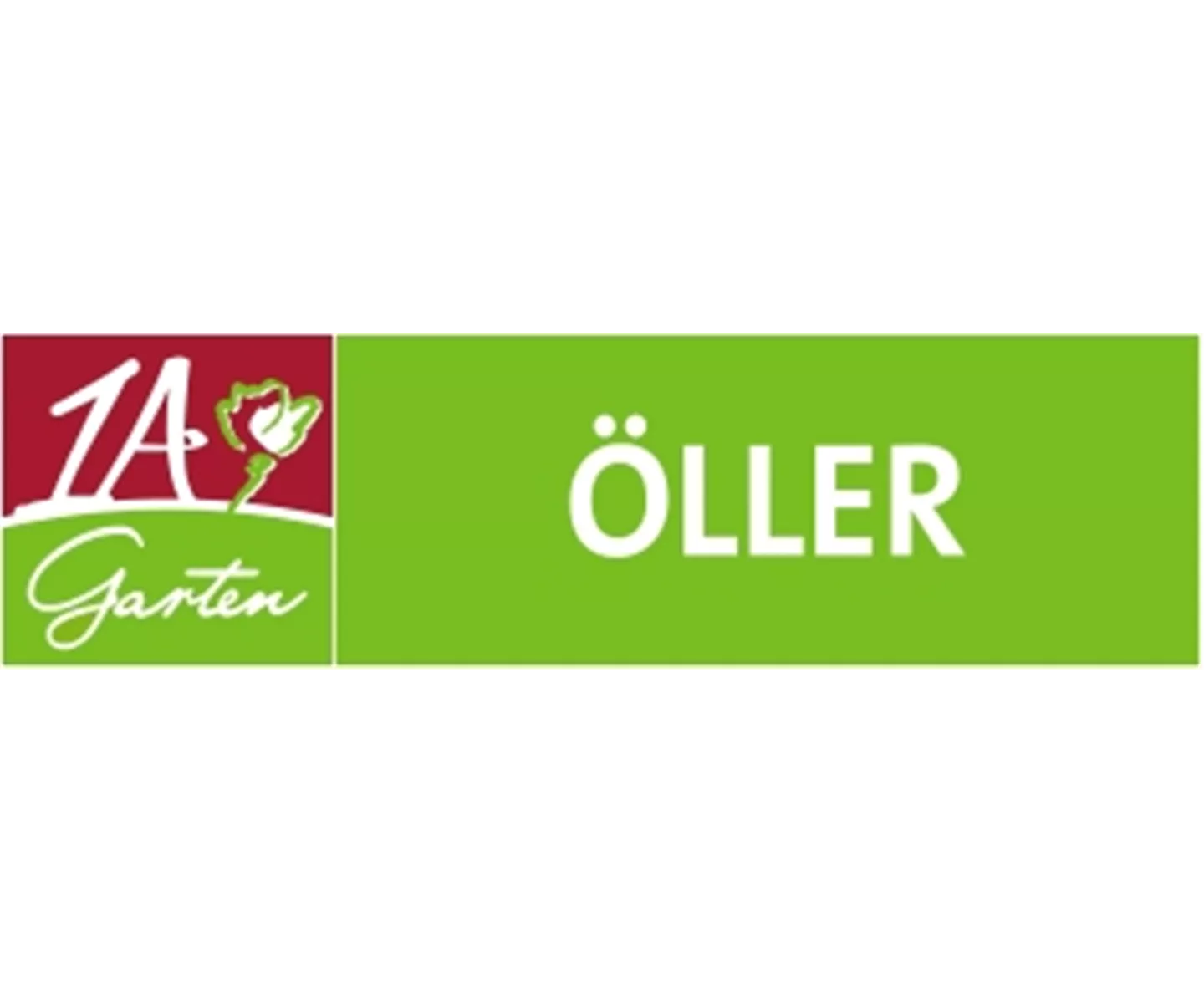 Auch im Winter frische Vitamine