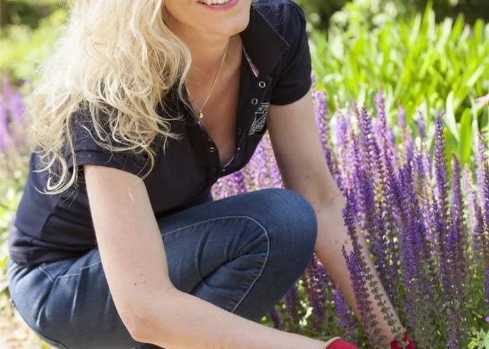 Frühjahrsputz im Garten