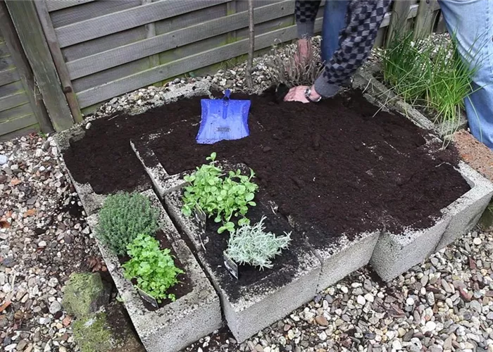 Kräuter - Einsetzen in Pflanzsteine