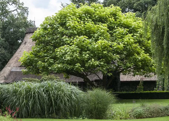 Frühjahrskur für Ihren Rasen