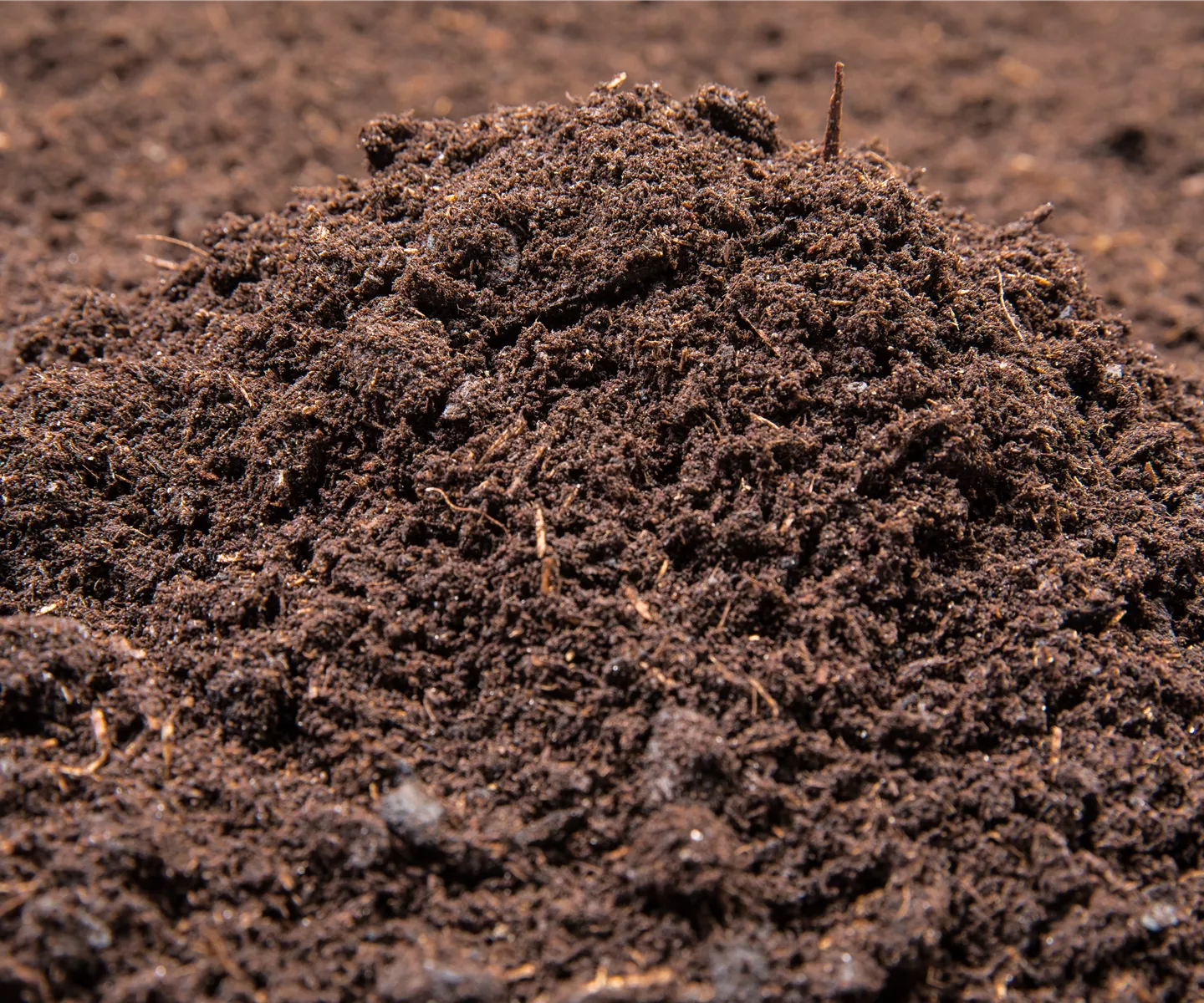 Der Gartenboden: jeder braucht mal Unterstützung